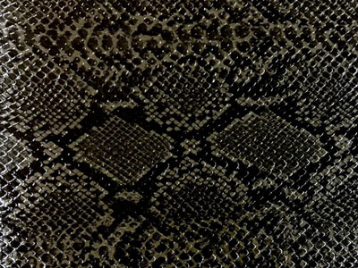LT_SN-4特殊生地・スネーク（黒）