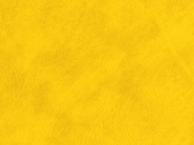 LT_SS-3レザー（サンセブン/イエロー）