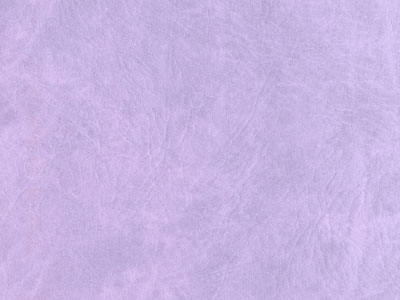 LT_SS-5レザー（サンセブン/ターコイズ）